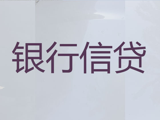 保亭贷款中介公司-银行信用贷款